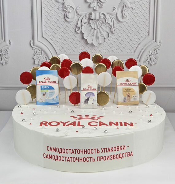 Торт корпоративный с леденцами